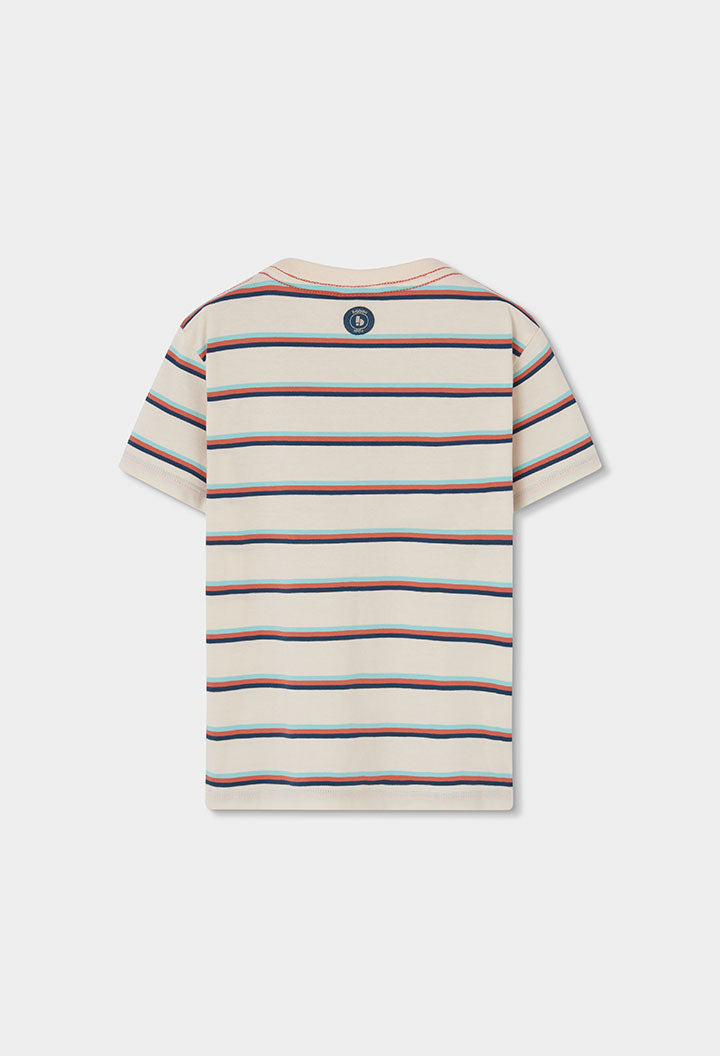 Knit T-Shirt Stripe