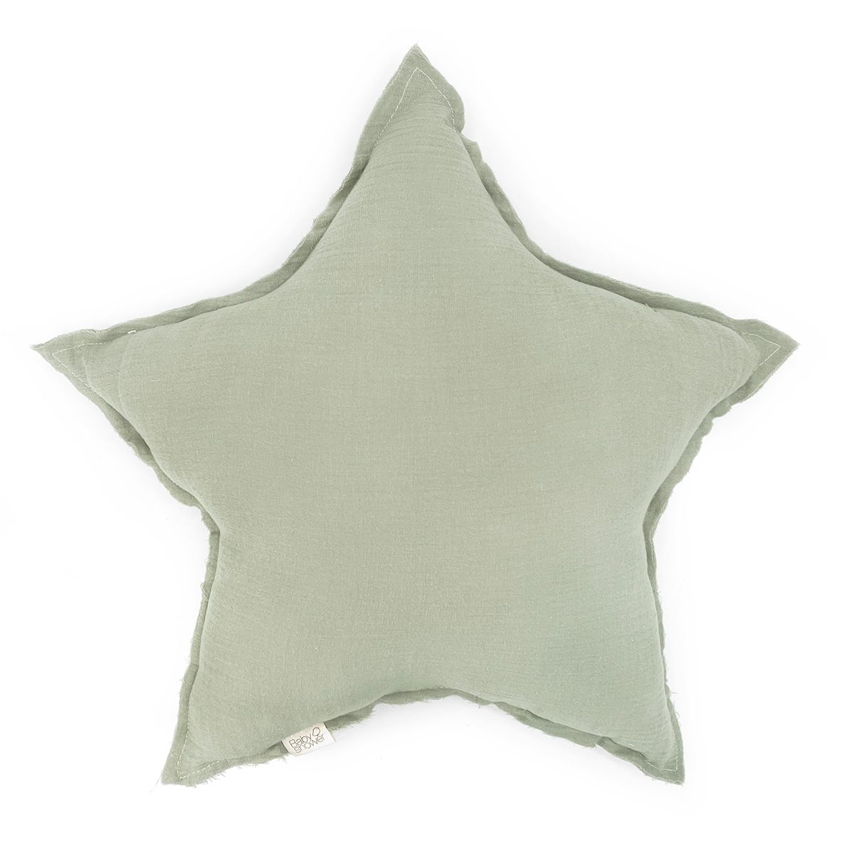 Big Star Cushion