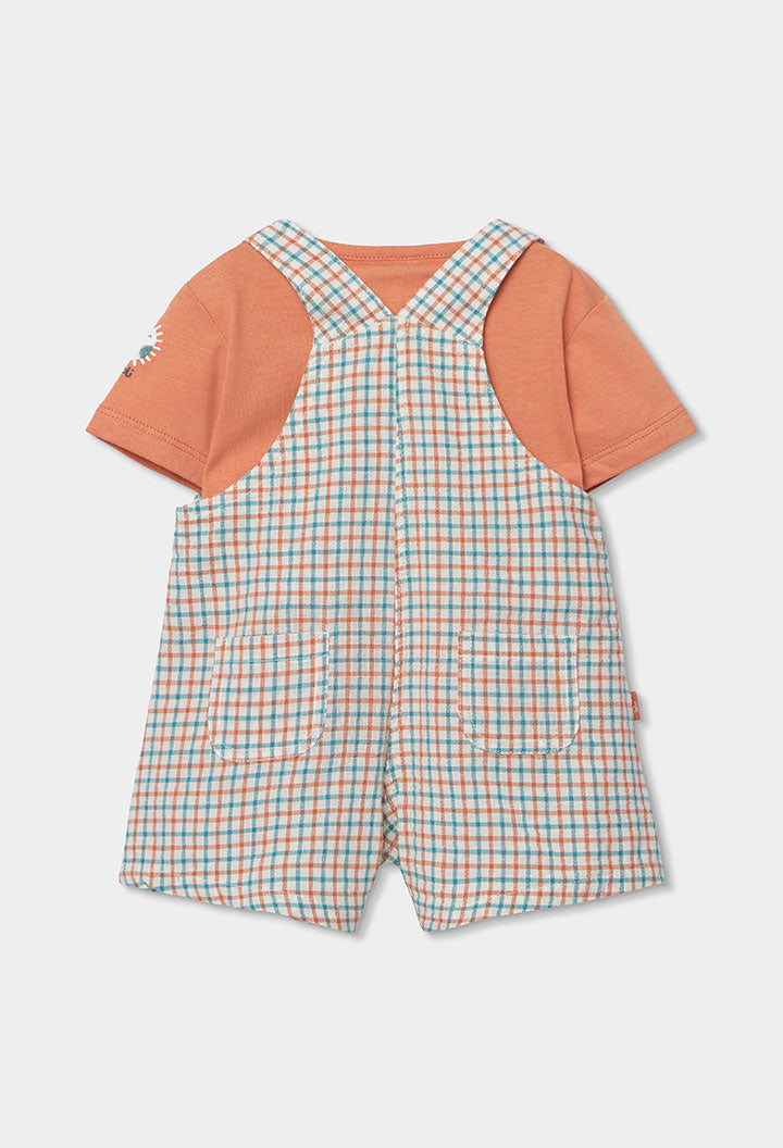 Set Knit