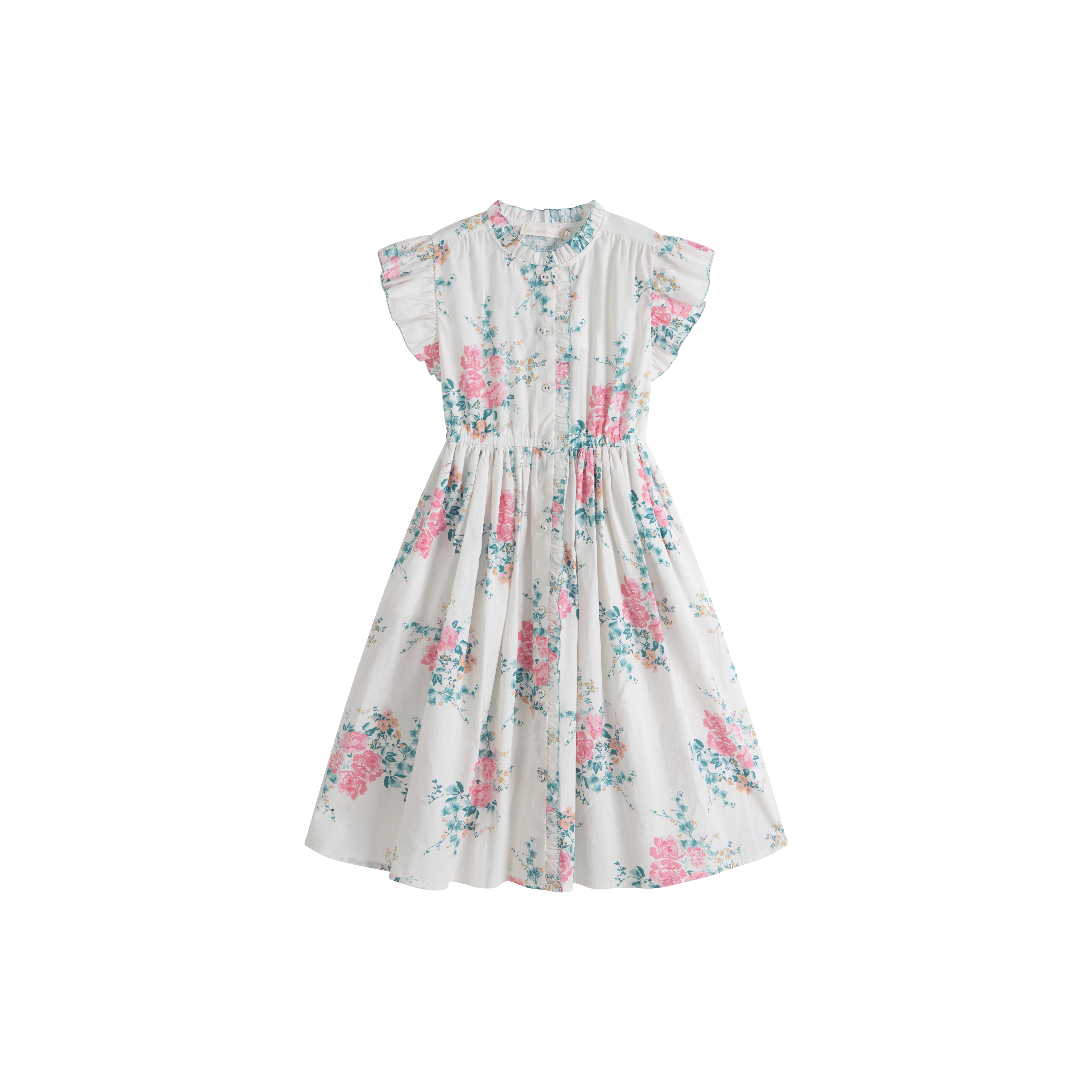 Delphine Pink Roses Dress