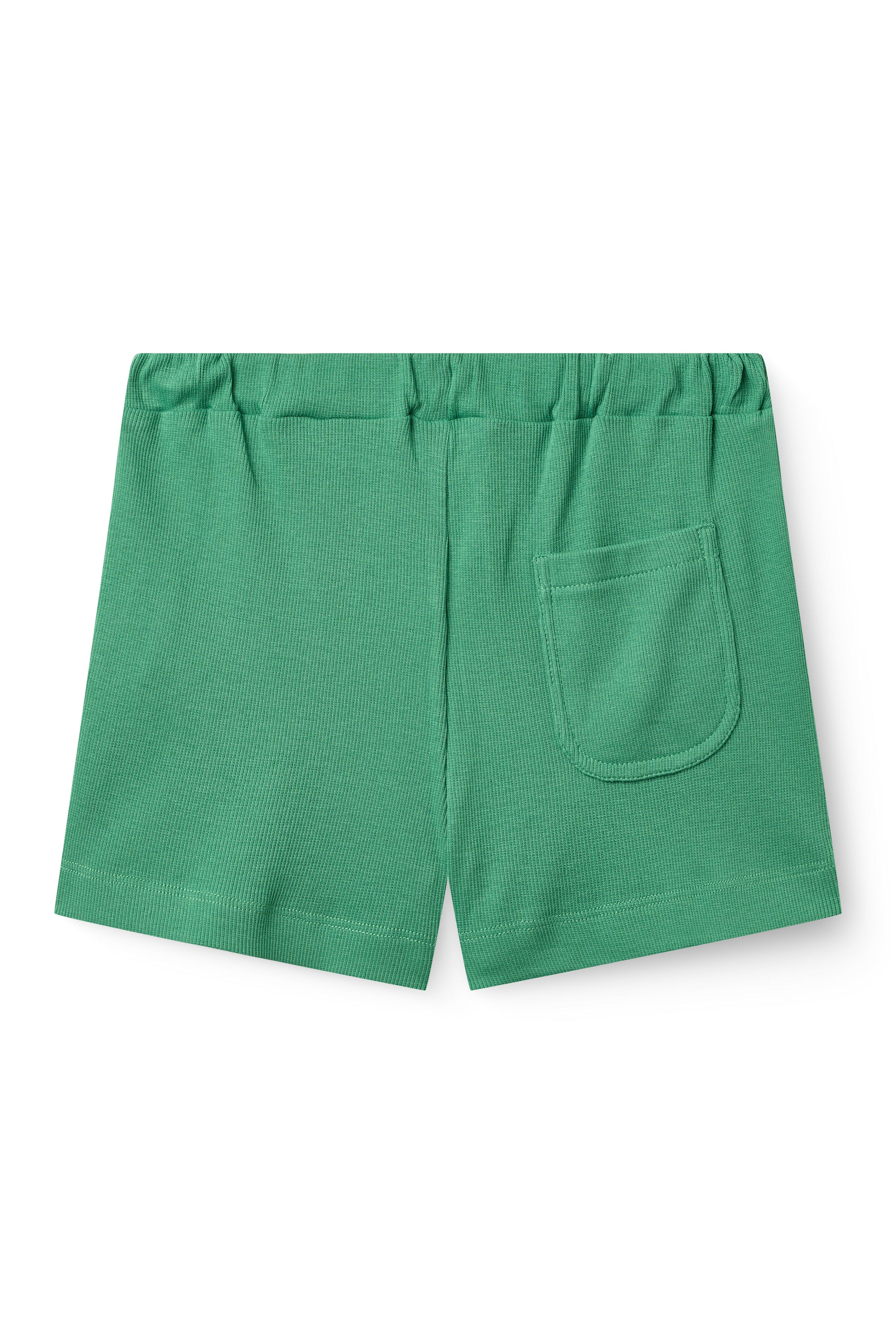 MODAL RIB SHORTS